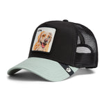 Goorin Bros The Loyal Dog - Trucker Cap - Void/Shade - Headz Up 
