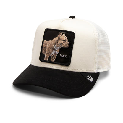 Goorin Bros - The Suede Pitbull - A-Frame Trucker Cap - Cream