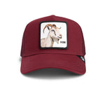 Goorin Bros - The Farm - Himothy - Trucker Cap - Burgundy - Headz Up 