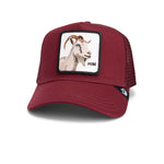 Goorin Bros - The Farm - Himothy - Trucker Cap - Burgundy - Headz Up 