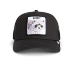 Goorin Bros - Bandit - Trucker Cap - Black - Headz Up 