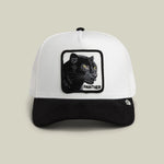 Goorin Bros - The Panther - Trucker Cap Suede - Black/White Dust/Void - Headz Up 