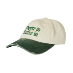 Pica Pica - ASPIRE TO RETIRE - Dad Cap - Washed Chrome/Green - Headz Up 