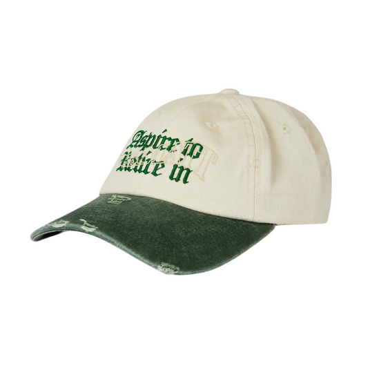 Pica Pica - ASPIRE TO RETIRE - Dad Cap - Washed Chrome/Green