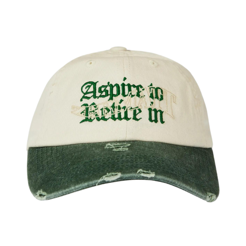 Pica Pica - ASPIRE TO RETIRE - Dad Cap - Washed Chrome/Green