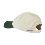 Pica Pica - ASPIRE TO RETIRE - Dad Cap - Washed Chrome/Green - Headz Up 