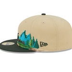 New Era - 59Fifty Fitted Cap TEAM LANDSCAPE - St. Louis Cardinals - VGD - Headz Up 