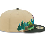 New Era - 59Fifty Fitted Cap TEAM LANDSCAPE - St. Louis Cardinals - VGD - Headz Up 