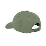 Dickies - Hardwick Dad Cap - Dark Forrest - Headz Up 