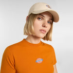 Dickies - Hardwick - Whitecap Gray - Headz Up 