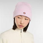 Dickies - Gibsland Beanie - Winesome Orchid - Headz Up 