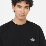 Dickies - Summerdale SS Tee - Black - Headz Up 
