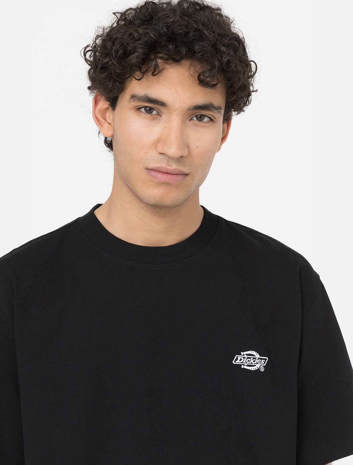 Dickies - Summerdale SS Tee - Black - Headz Up 