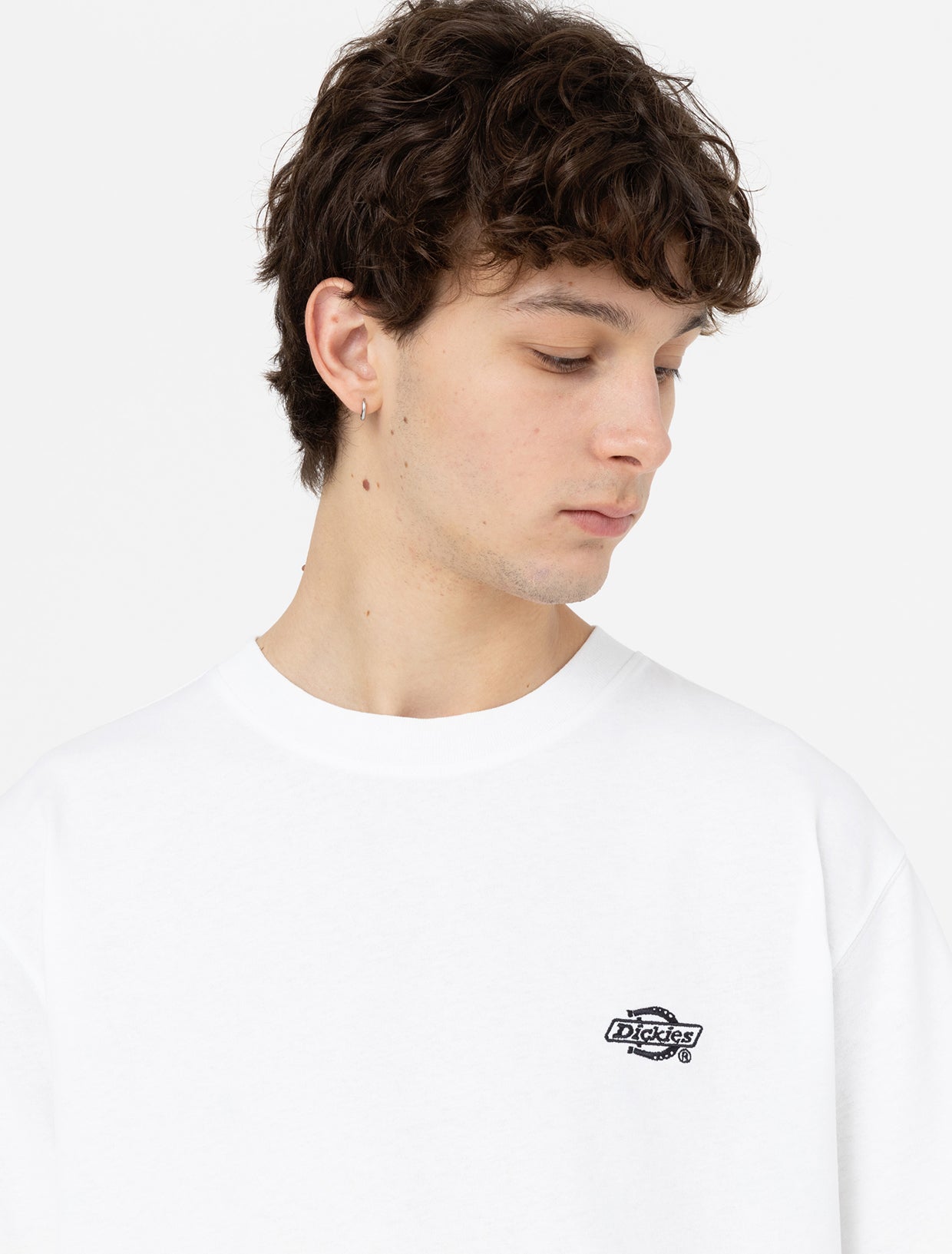 Dickies - Summerdale SS Tee - White - Headz Up 