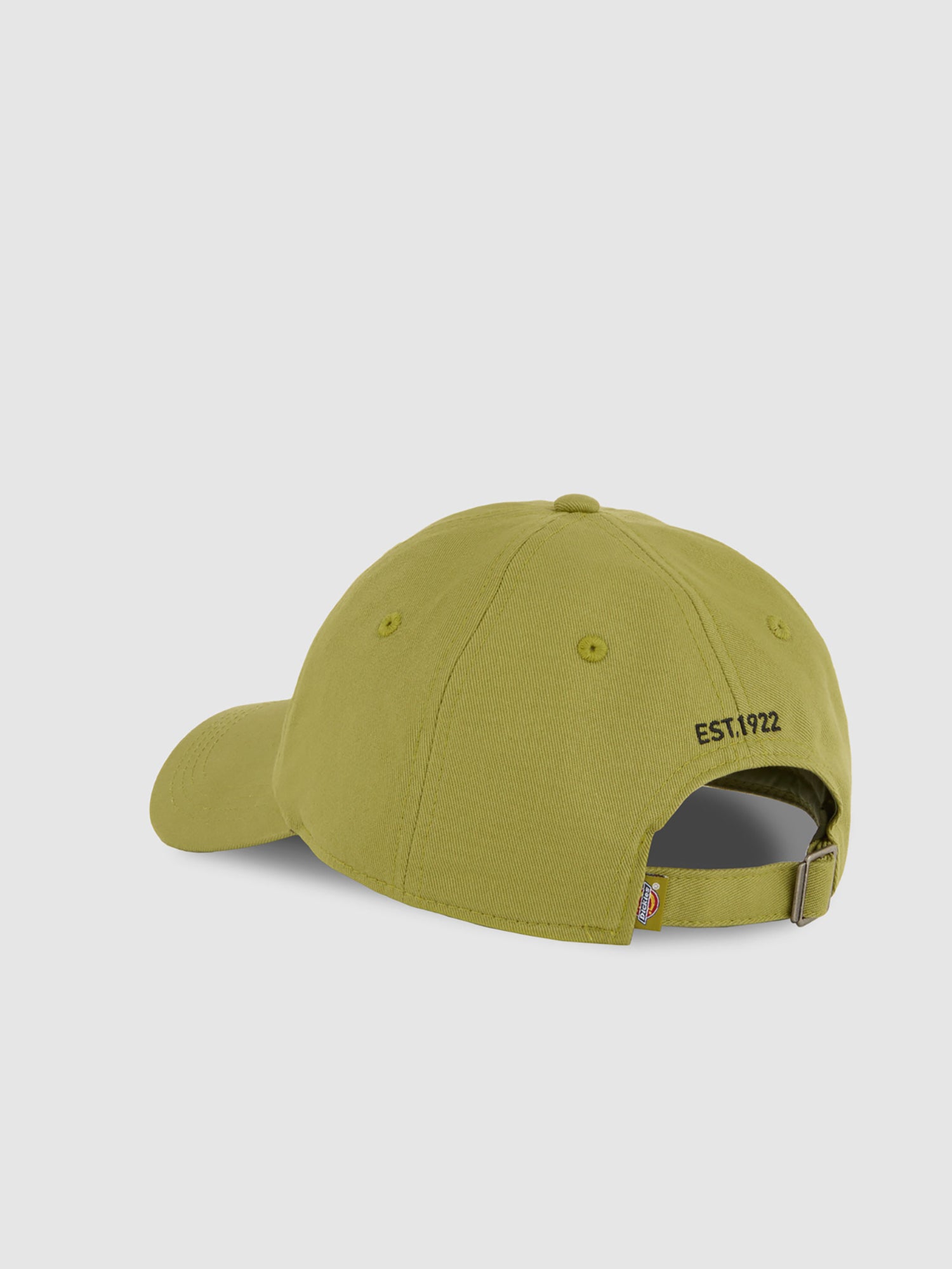 Dickies - Essentials Dad Cap - Evergreen Sprig - Headz Up 