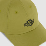 Dickies - Essentials Dad Cap - Evergreen Sprig - Headz Up 