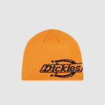 Dickies - Summerdale Logo Beanie - Autumn - Headz Up 