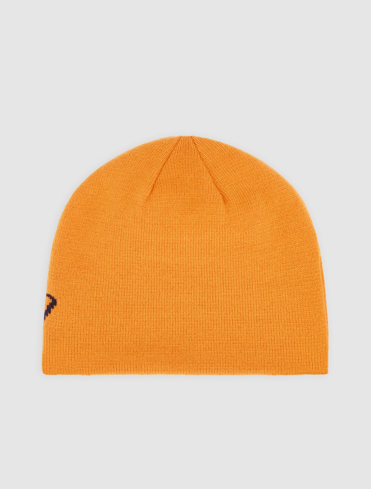 Dickies - Summerdale Logo Beanie - Autumn - Headz Up 