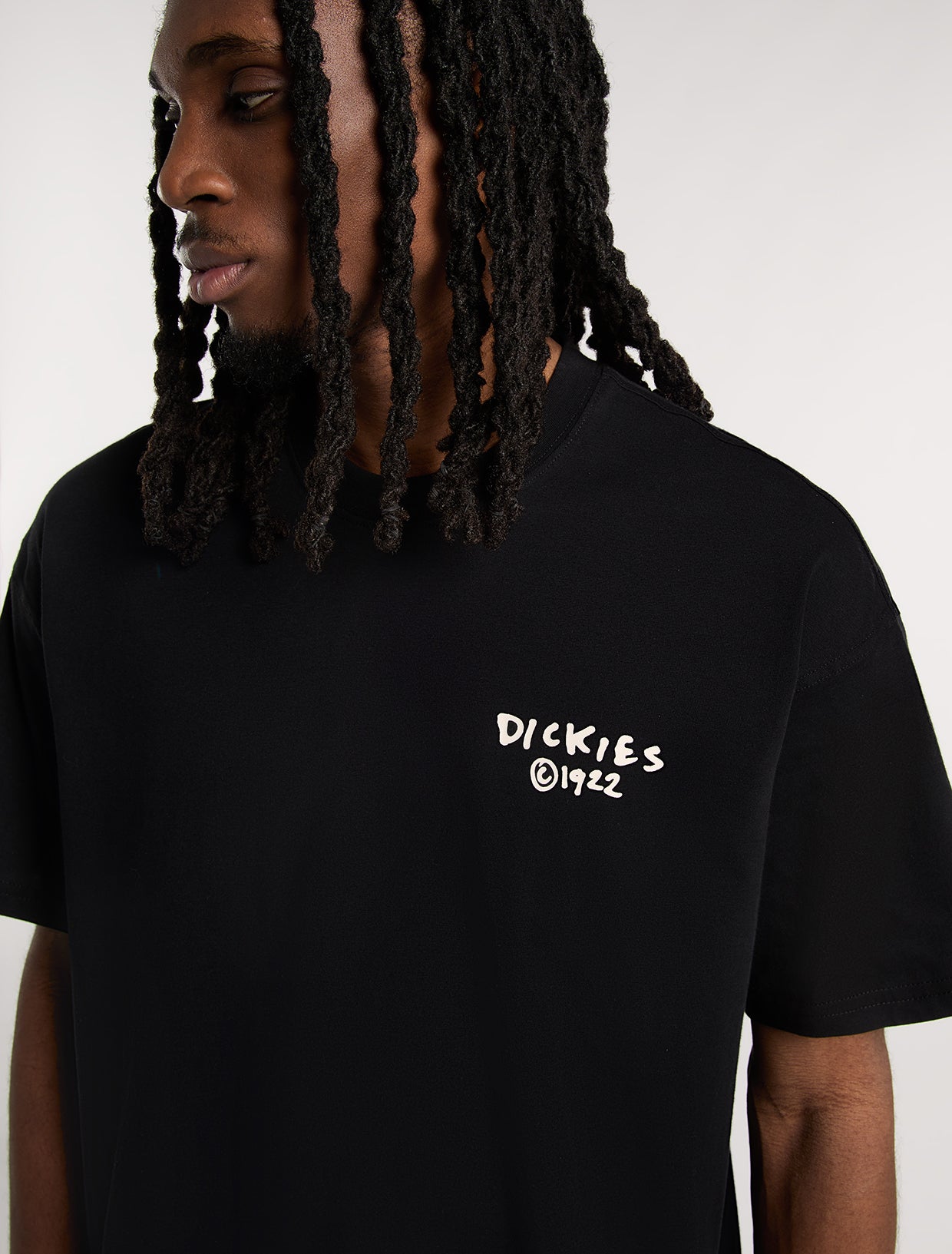 Dickies - Sneedville Tee SS - Black - Headz Up 