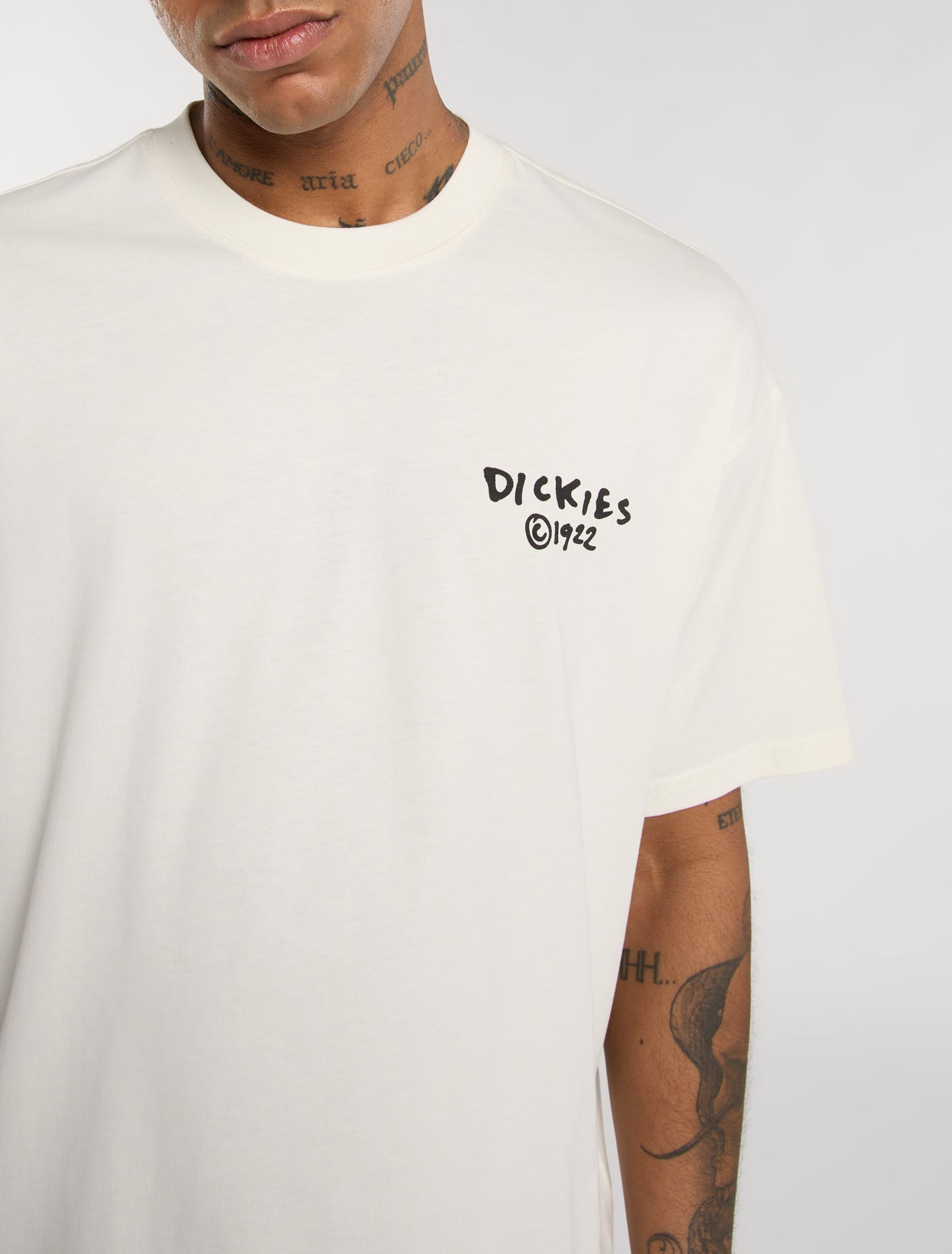 Dickies - Sneedville Tee SS - Egert - Headz Up 