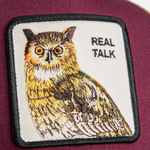 Goorin Bros - Tricolor Owl Multi - Trucker Cap - Multicolor - Headz Up 