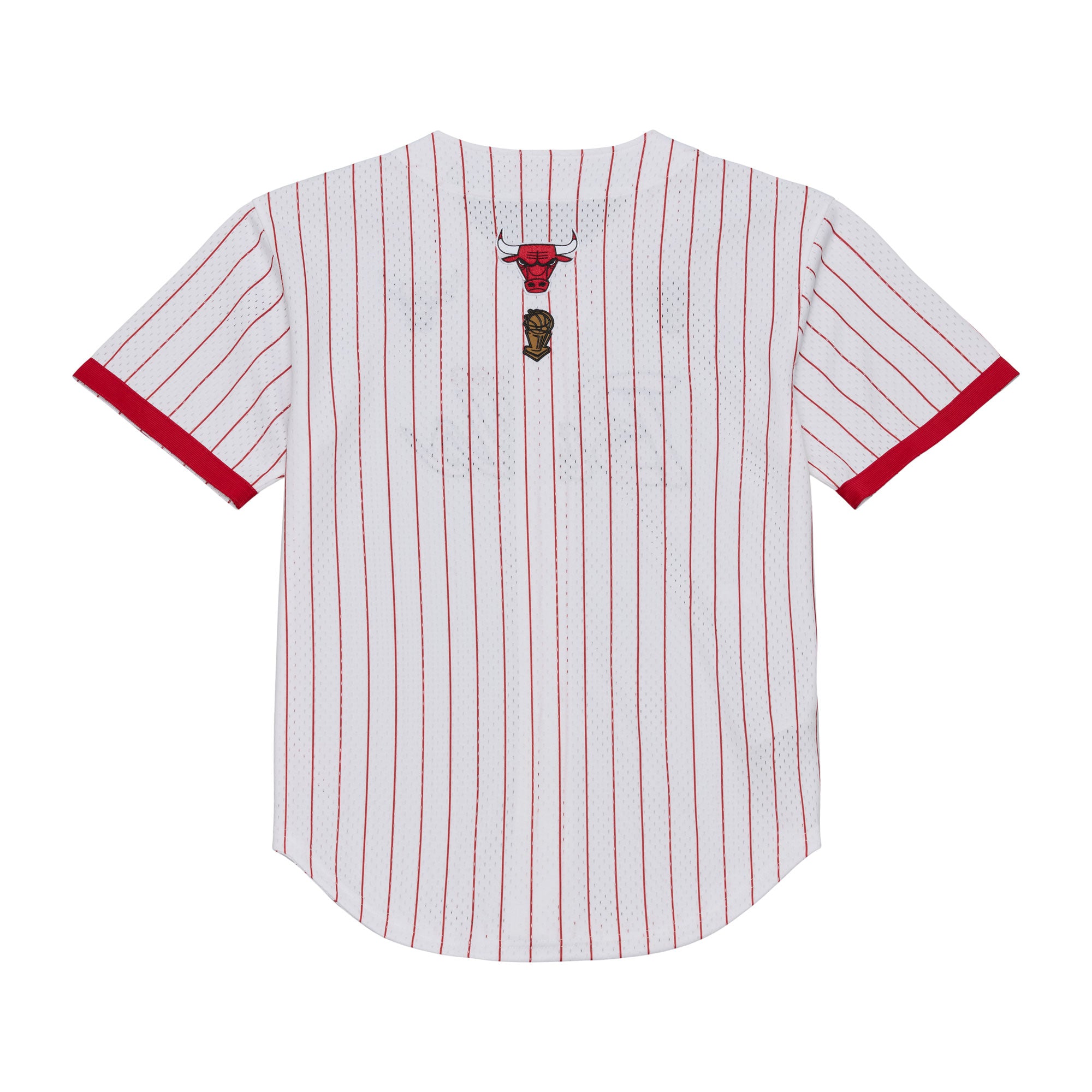 Mitchell & Ness Chicago Bulls hvide stribet mesh T-shirt med knap front og "Head Coach" print.