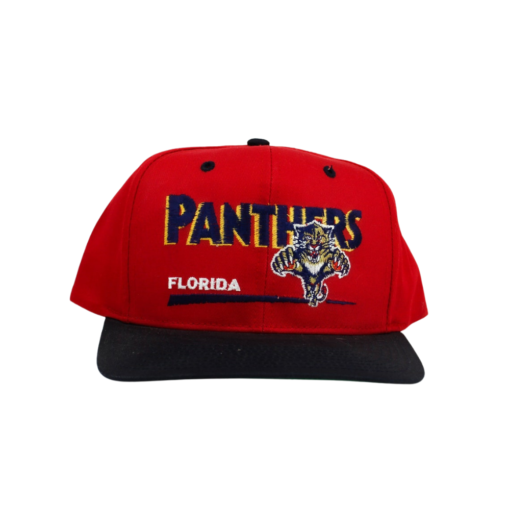 Florida Panthers Cap NHL (Vintage) Twins Enterprise - Headz Up 