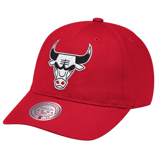 Team Ground Dad Cap - Strapback - Chicago Bulls - Rød - Headz Up 