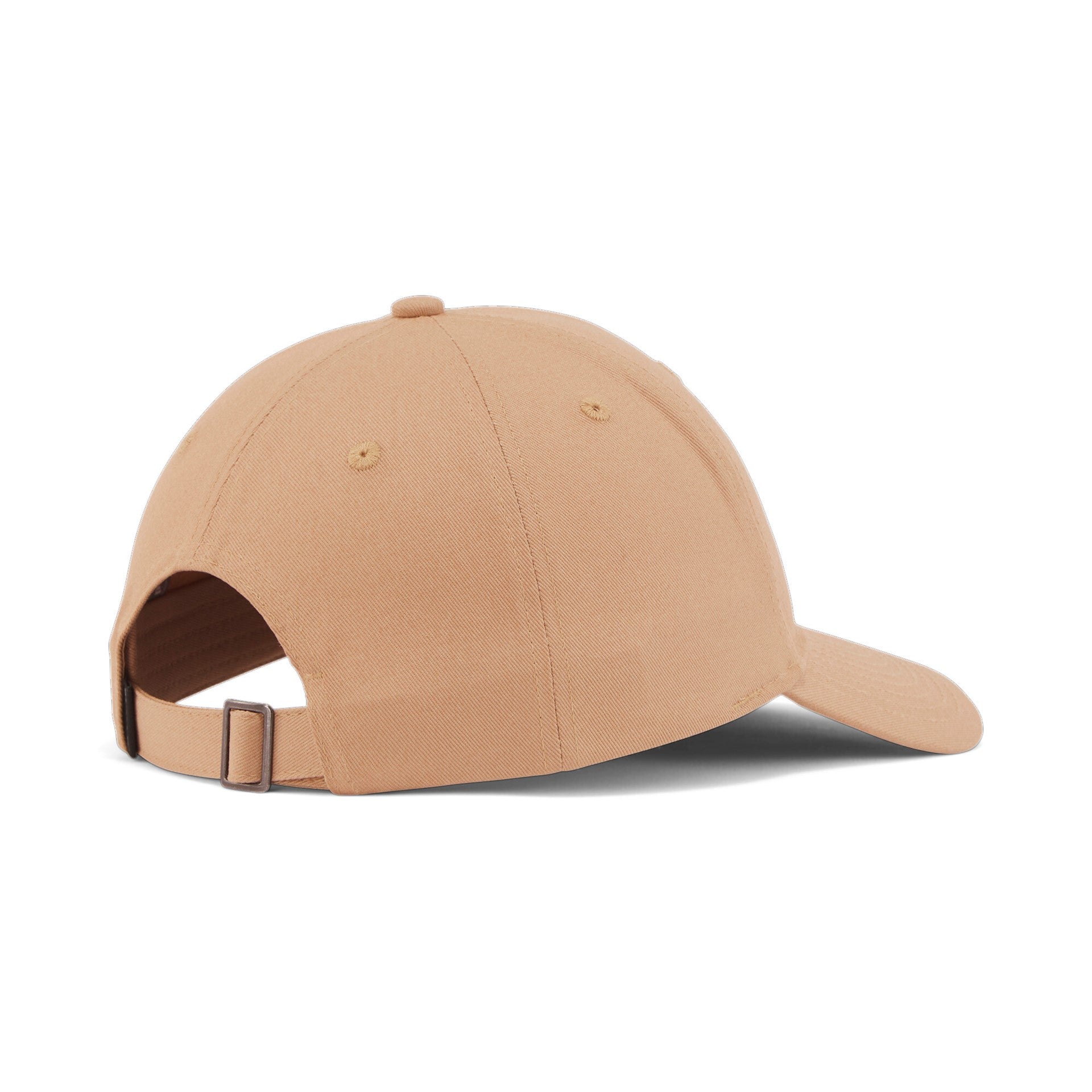 Archive Logo BB Cap - Dusty Tan - Headz Up 